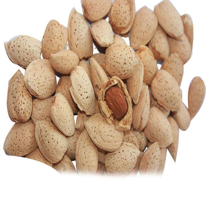 Buy Almond Whole 500GM (بادام ثابت ) At Best Price GrocerApp