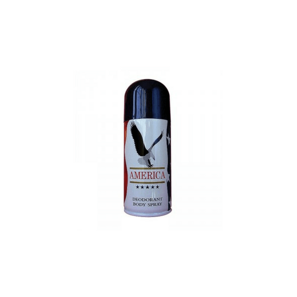 Buy America Body Spray At Best Price GrocerApp