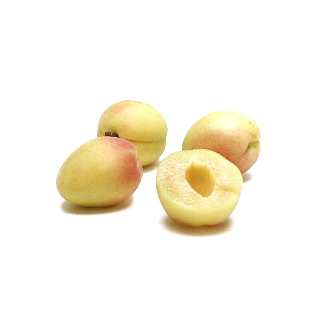 Buy Apricot (500Gm) خوبانی At Best Price GrocerApp