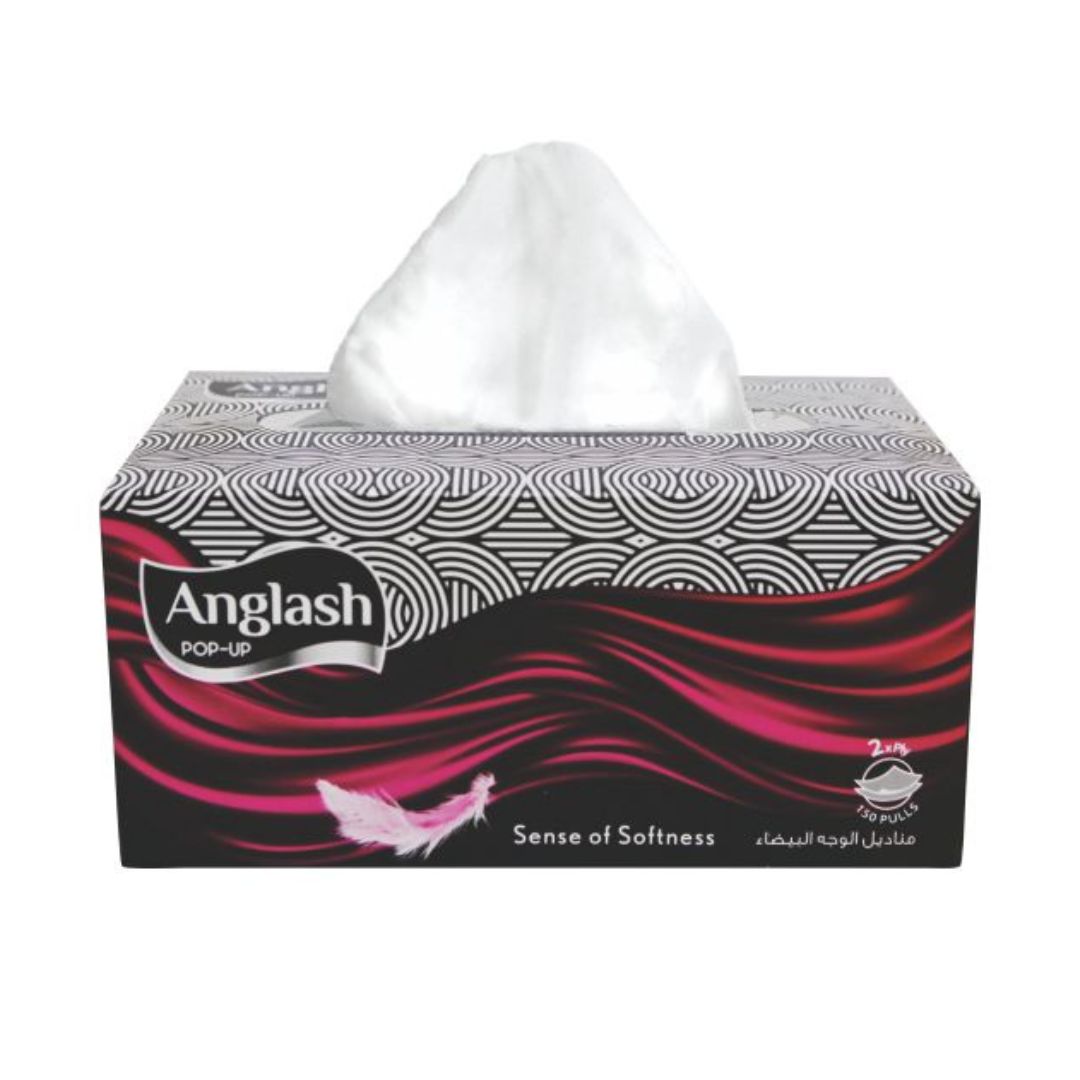 Bejaan Anglash Facial Tissue - 300s