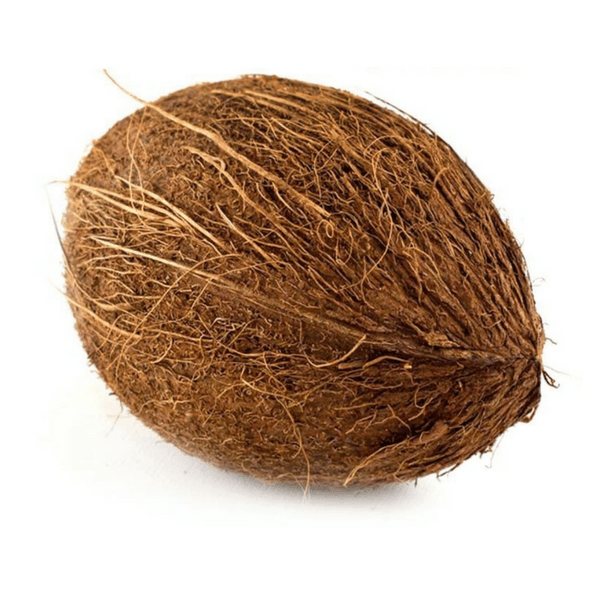 Buy Coconut At Best Price GrocerApp