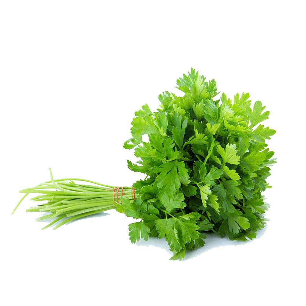 Coriander 100g  - دھنیا