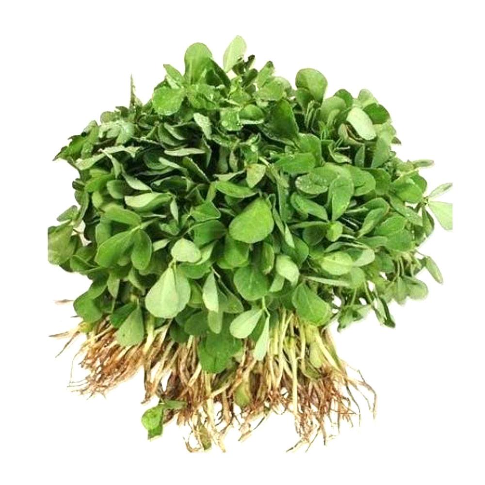 Fenugreek 450 - 500 gm میتھی