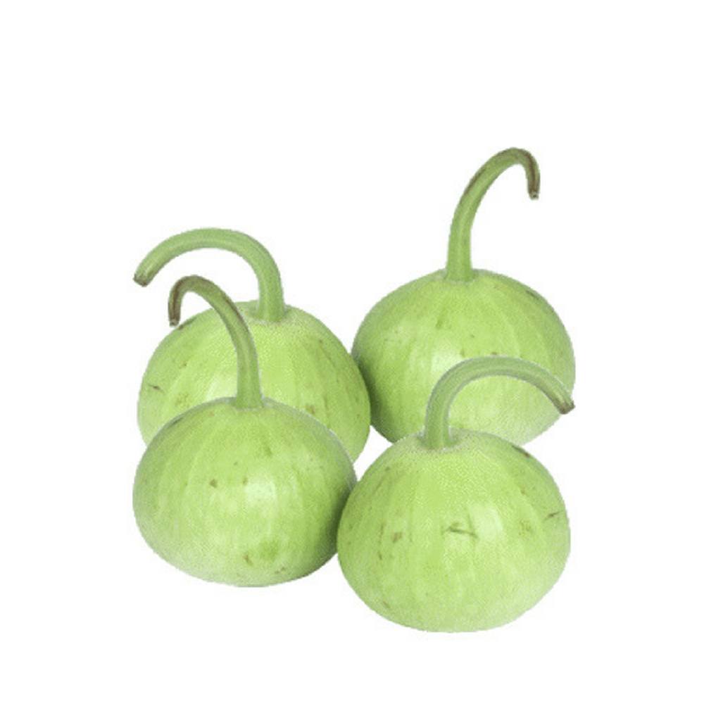 Ghia pumpkin 0.95 - 1 kg گھیا کدو