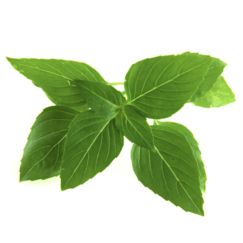 Buy Italian Genovese Basil Heirloom farms At Best Price GrocerApp