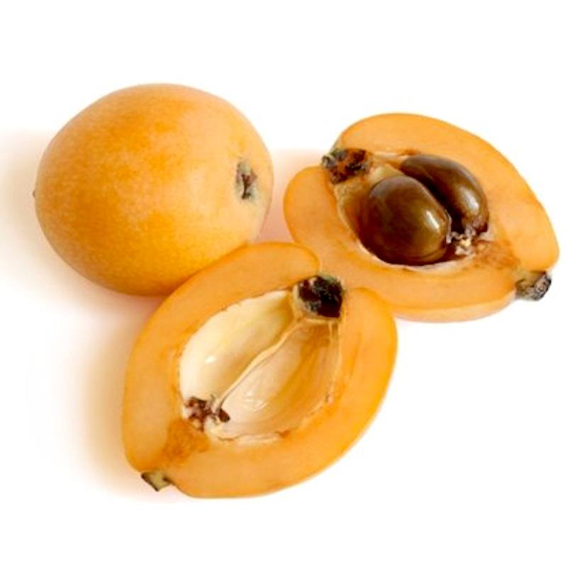 Loquat Gi Buy Loquat At Best Price - GrocerApp