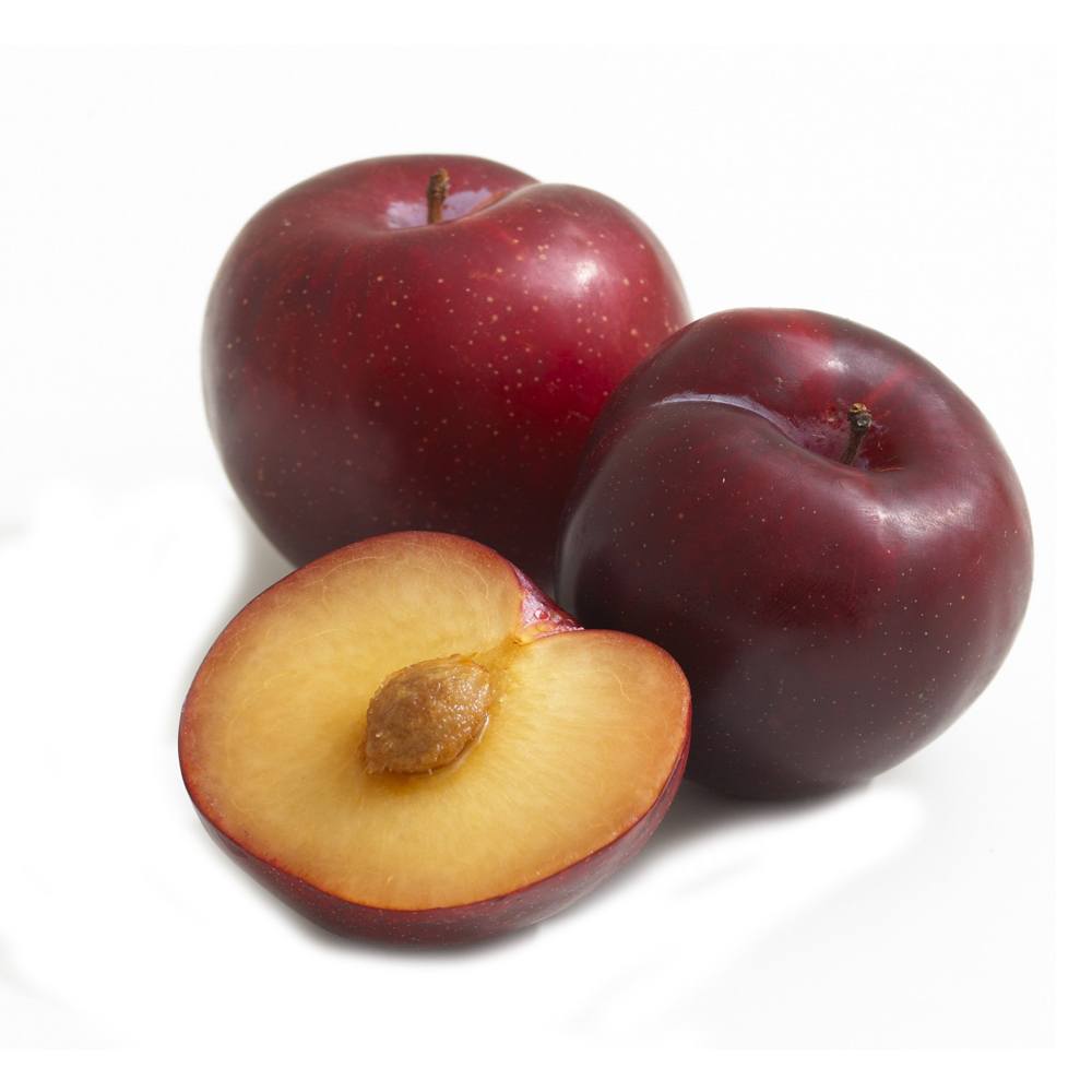 China Black Plum -آلو بخارا