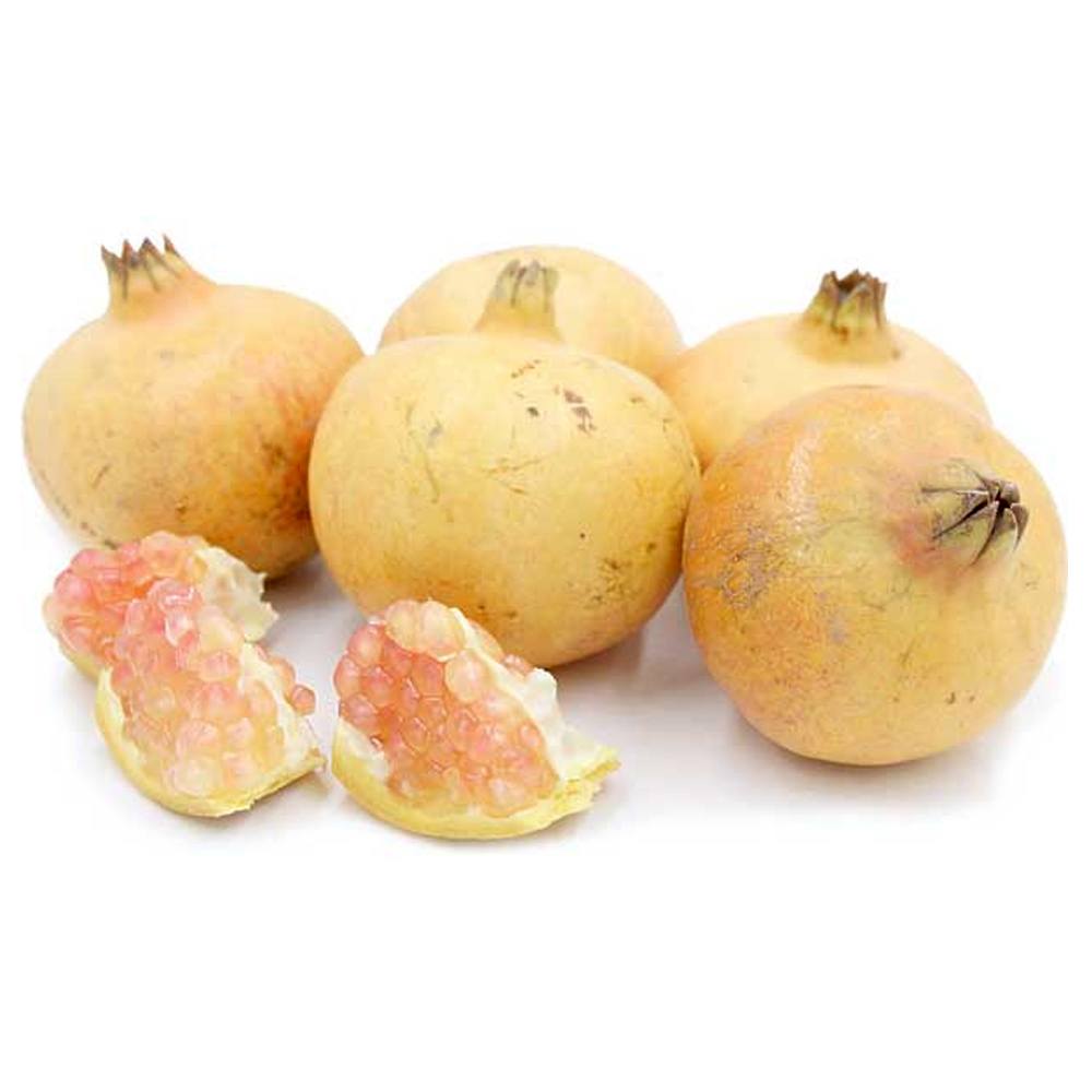 x90 white pomegranate